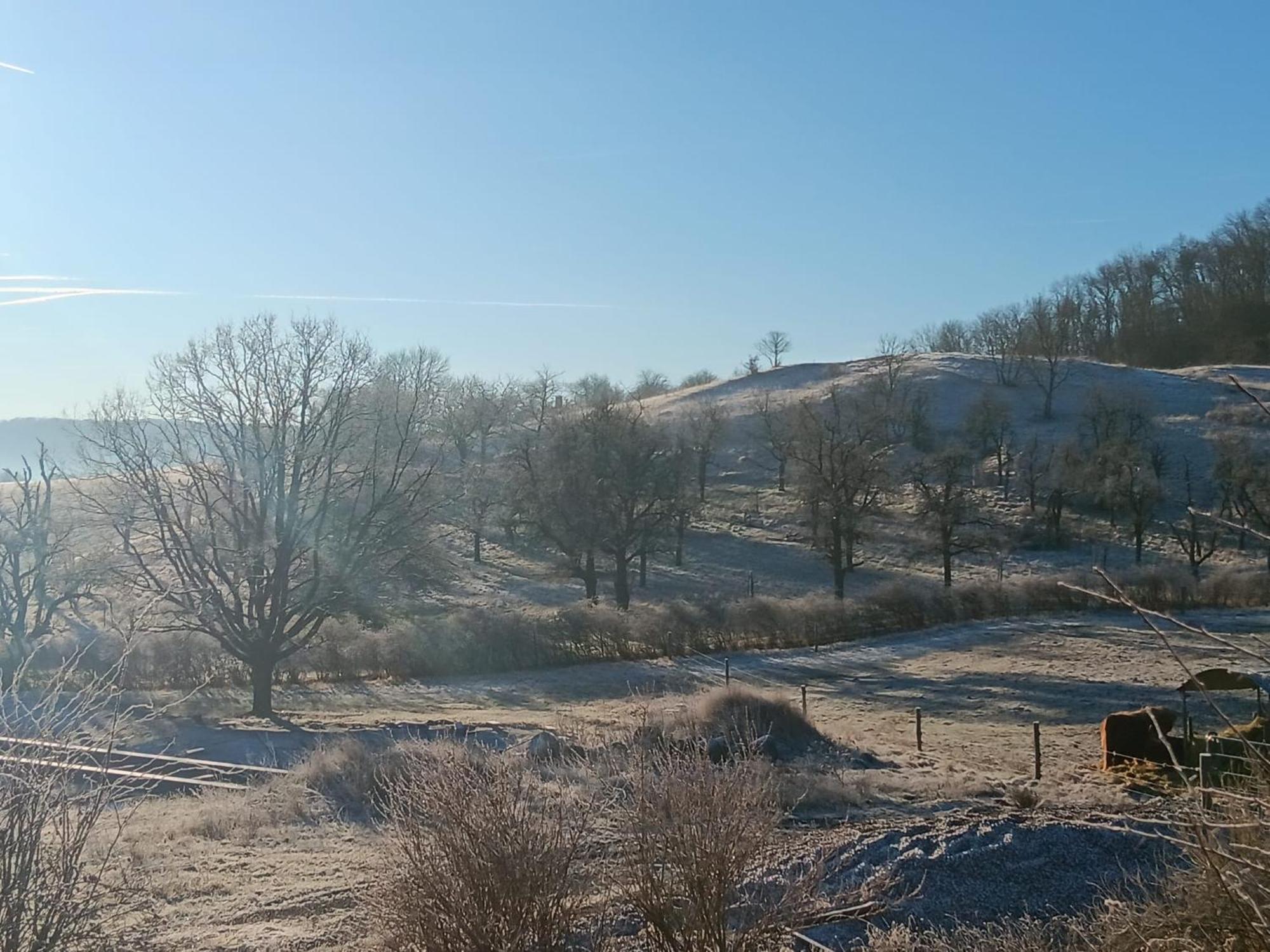 Freudenthal Wandersleben